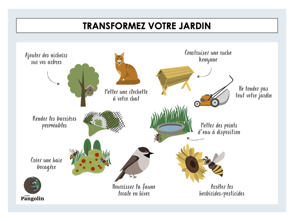 Pourquoi et comment préserver la biodiversité Toutes les astuces