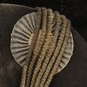 Photo 3 : CHAPEAU BICORNE DE MOUSQUETAIRES DE LA MAISON MILITAIRE DU ROI, seconde compagnie «MOUSQUETAIRES NOIRS», pour la tenue de manège, modèle 1814, Restauration. 29236