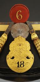 Photo 2 : SHAKO D'OFFICIER DU 18ème RÉGIMENT D'INFANTERIE LÉGÈRE, modèle 1821, Restauration. 33453