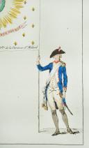Photo 4 : COLLECTION COMPLÈTE DES DRAPEAUX FAITS DANS 60 DISTRICTS DE PARIS, lors de la révolution du mois de Juillet 1789.