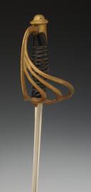 Photo 3 : OFFICER'S INFANTRY SABER, model 1882, Third Republic. 32555-3