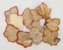 Photo 2 : CINQ PAIRES DE FLEURS DE LYS POUR ORNEMENT DE RETROUSSIS D'UNIFORME, Restauration. 26215