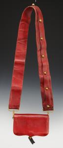 Photo 2 : OFFICER'S GIBERNE OF THE HEALTH SERVICE IN UNDRESS UNIFORM, 1848 model, Third Republic. 29945