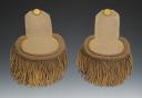 PAIR OF EPAULETTES BELONGING TO CAPTAIN DE LUSIGNAN OF THE 8th DRAGOON REGIMENT (OF THE RHÔNE), Restoration period. 32737-4