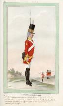 Photo 5 : INFANTERIE DIVISION D'ARTOIS, en uniforme d'essai vers 1788-1789, PIÉTON : FIGURINE PAR CLÉMENCE, Consulat.