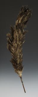 PLUMET DE SHAKO, Premier Empire. 33626