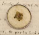 Photo 2 : OFFICER BUTTON FROM THE 2nd LIGHT INFANTRY REGIMENT, First Empire. 26581