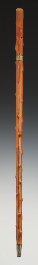Photo 2 : CANNE ÉPÉE, Premier tiers du XIXème siècle. 32717