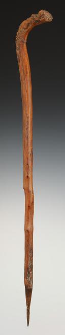 Photo 3 : CANNE SÉDITIEUSE AU PROFIL DE LOUIS XVI, probablement d'Officier de Marine. Révolution. 32727