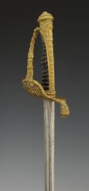 Photo 6 : SABRE D'OFFICIER DE MARINE, modèle 1853 modifié 1870, Troisième République. 32644