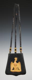 Photo 2 : LIGHT CAVALRY OFFICER'S SABRETACHE, MODEL 1854, Second Empire. 29175