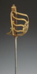 Photo 6 : SABRE DE SOUS-OFFICIER DES DRAGONS DE LA GARDE IMPÉRIALE, Premier Empire - Période des Cent Jours. 32769