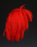 PLUMET POUR CHAPEAU D'OFFICIER, Troisième République. 33780