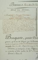 Photo 3 : BREVET DE PORTE-ÉTENDARD FRANÇOIS DOMINIQUE, SOUS-LIEUTENANT DE GRENADIERS À CHEVAL DE LA GARDE DES CONSULS, 22 frimaire an 10 (12 décembre 1801).