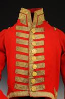 Photo 4 : HABIT DE GRANDE TENUE DE LA 1ère COMPAGNIE DES MOUSQUETAIRES DE LA MAISON MILITAIRE DU ROI (Mousquetaires Gris), modèle 1814, Première Restauration. 30035