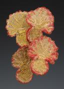 Photo 2 : QUATRE GRENADES POUR RETROUSSIS D'HABIT D'OFFICIER, Monarchie de Juillet. 32847