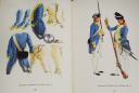 Photo 3 : SAPIN-LIGNIÈRES: THE LIGHT TROOPS OF THE ANCIENT MONARCHY, THE KING'S CORSAIRS OF THE ARMY OF THE LAND FORCES. Uniform studies and illustrations by Michel Pétard. 30539.