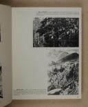Photo 5 : EHRET – 1914-1918 – Autour de l’Hartmanns Willer Kopp  