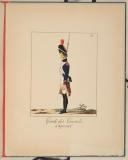 Photo 7 : POTRELLE : LA GARDE DES CONSULS – 1801