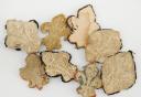 Photo 2 : HUIT FLEURS DE LYS POUR ORNEMENT DE RETROUSSIS D'UNIFORME, Restauration. 26217