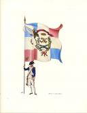 Photo 3 : LES DRAPEAUX DE LA GARDE NATIONALE DE PARIS EN 1789.