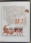 Photo 7 : CHAMPOLLION - " Monuments de l'Égypte et de la Nubie par Champollion " - Planches - Paris