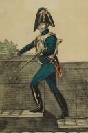 Photo 2 : MARTINET : Troupes françaises, planche 259, dragon de la Garde Impériale en petit uniforme, Premier Empire.