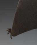 Photo 5 : BICORNE HAT OF A HUSSAR OR LIGHT CAVALRY OFFICER, First Empire. 31127