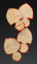 Photo 2 : QUATRE GRENADES DE RETROUSSIS D'UNIFORME, Monarchie de Juillet. 26195