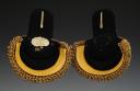 Photo 3 : PAIR OF MARSHAL OF THE CAMP EPAULETS, Restoration period. 33696
