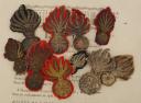TEN UNIFORM BUTTON RETAINER GRENADES, July Monarchy - Second Empire. 26202