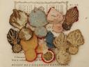 Photo 2 : TEN UNIFORM BUTTON RETAINER GRENADES, July Monarchy - Second Empire. 26202