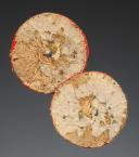 Photo 2 : PAIRE D'ORNEMENTS DE RETROUSSIS POUR HABIT DES GARDES DU CORPS DU ROI, Restauration. 26221