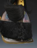 Photo 7 : CASQUE D'OFFICIER DE CUIRASSIERS, modèle 1858, Second Empire. 27026