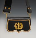 OFFICER'S MEDICAL GIBERNE, model 1848, Third Republic. 29925