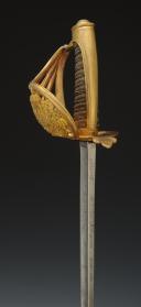Photo 10 : SABER OF THE KING'S BODYGUARDS, model 1816, Restoration. 26758