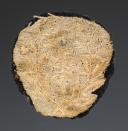 Photo 2 : UNIFORM BACK LACE ORNAMENT, Restoration period. 26222