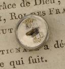 Photo 2 : BOUTON D'OFFICIER DU 7ème RÉGIMENT DE DRAGONS, Restauration. 20737-58