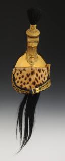 Photo 3 : CASQUE D'OFFICIER DE DRAGONS, modèle 1858, Second Empire. 26978-1