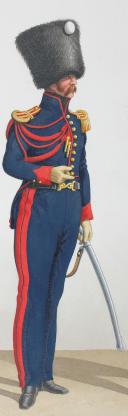 Photo 2 : 1824. Garde Royale. Artillerie à Cheval. Maréchal des Logis-Chef, Capitaine.
