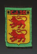 ÉCUSSON GROUPEMENT 30 FOCH groupe 4 DES CHANTIERS DE JEUNESSE, Seconde Guerre Mondiale. 31680-6