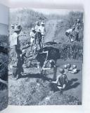 Photo 5 : DANNAUD – " Guerre morte " (documents photographiques)  