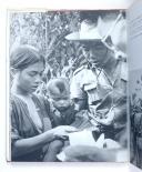 Photo 8 : DANNAUD – " Guerre morte " (documents photographiques)  