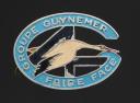 INSIGNE GROUPEMENT 12 groupe 4 Guynemer BELLEDONNE CHANTIER DE JEUNESSE, Seconde Guerre Mondiale. 31892R