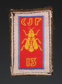 PATCH GROUP 13 BONAPARTE Youth Camp Directorate Group 2nd model, Second World War. 31663-1