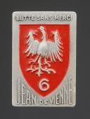 INSIGNIA GROUPEMENT 12 group 6 Jean de Vienne BELLEDONNE YOUTH WORK CAMPS WWII 31890