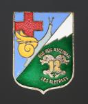 INSIGNIA GROUP 12 NURSE of the Alberges Uriage BELLEDONNE YOUTH WORK CAMP, Second World War. 31885R