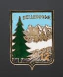 INSIGNIA GROUPEMENT 12 BELLEDONNE YOUTH CAMP, Second World War. 31884-2