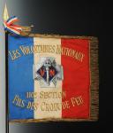 Photo 1 : DRAPEAU DE LA 110ème SECTION DE L'ASSOCIATION DES VOLONTAIRES NATIONAUX.