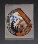 ÉCUSSON GROUPEMENT 28 PÉGUY groupe 8 DES CHANTIERS DE JEUNESSE, Seconde Guerre Mondiale. 31678-10